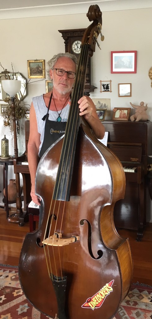 Hofner double bass